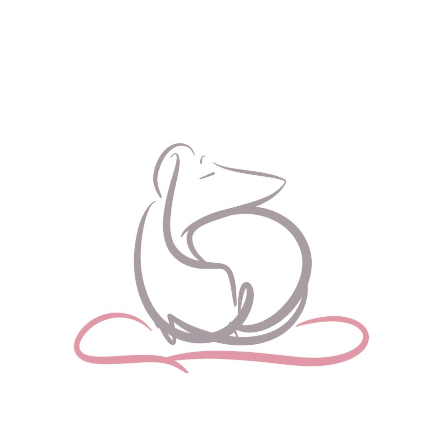 curled dog illustration