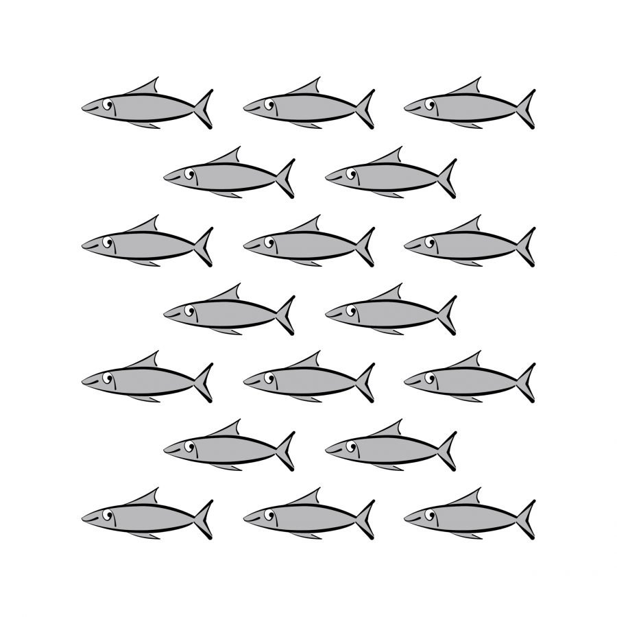 shoal of sardines illustration lucy monkman